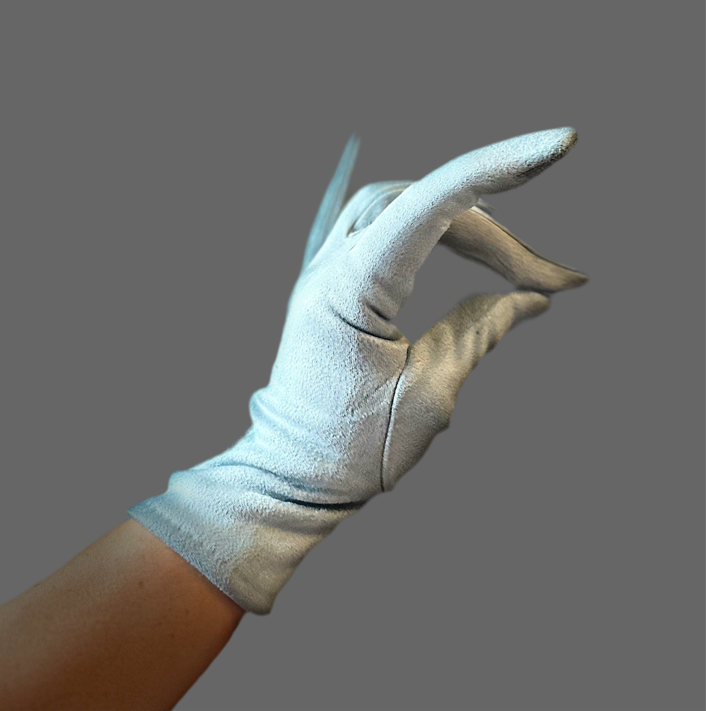 Light Blue Gloves with Embroidery Mulberry Tree