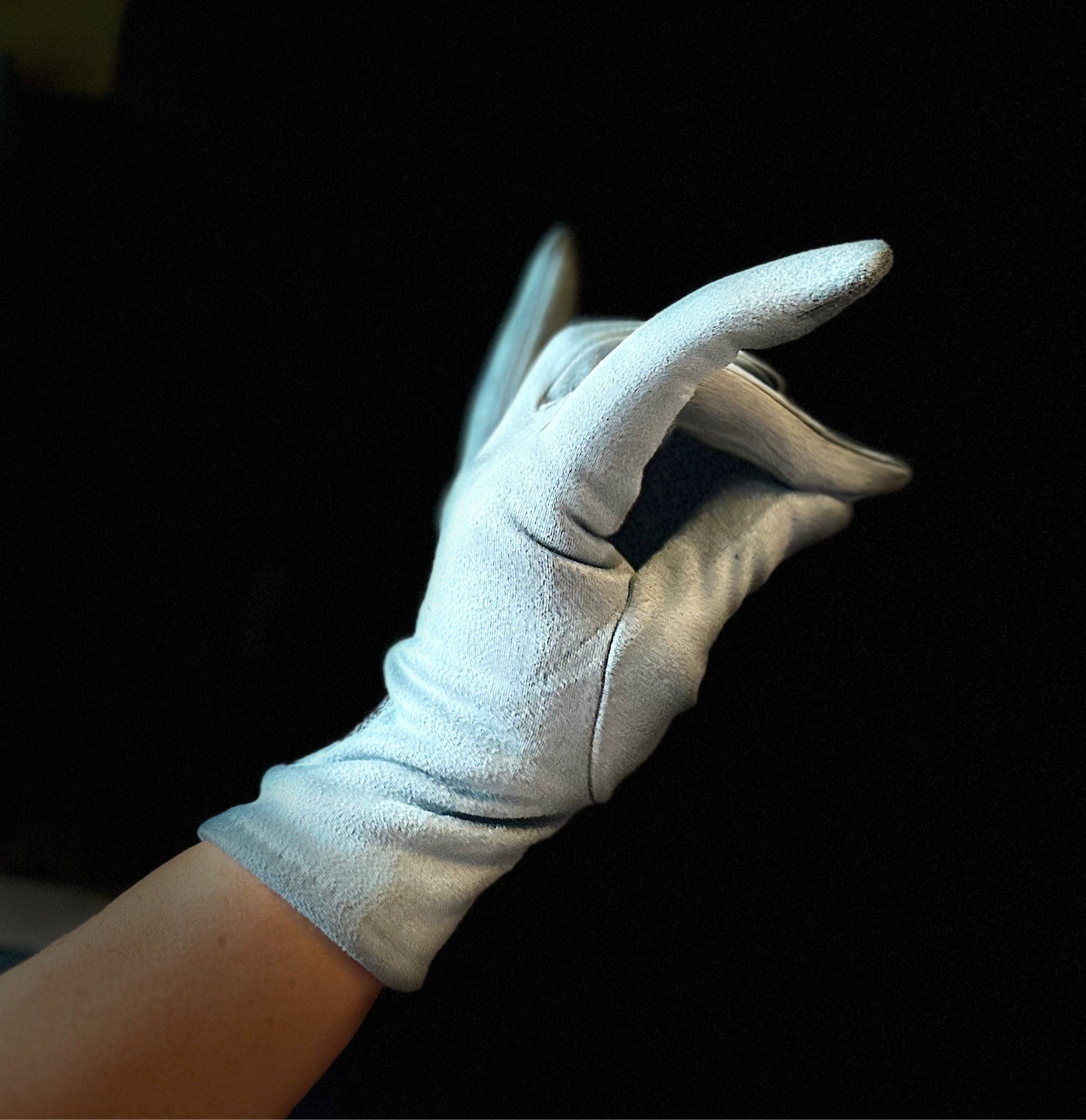 Light Blue Gloves with Embroidery Mulberry Tree