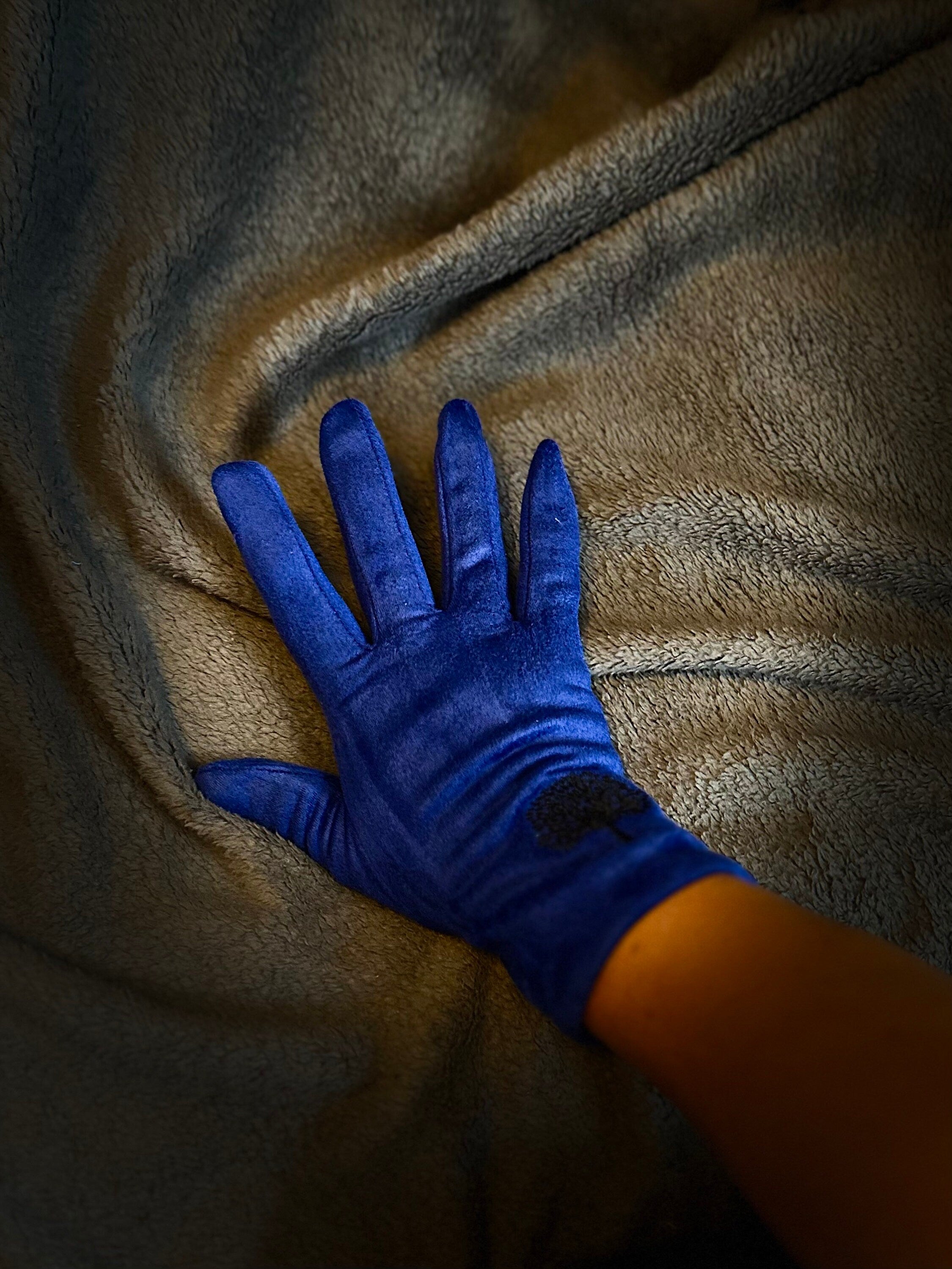 Blue Gloves with Embroidery Mulberry Tree for Women