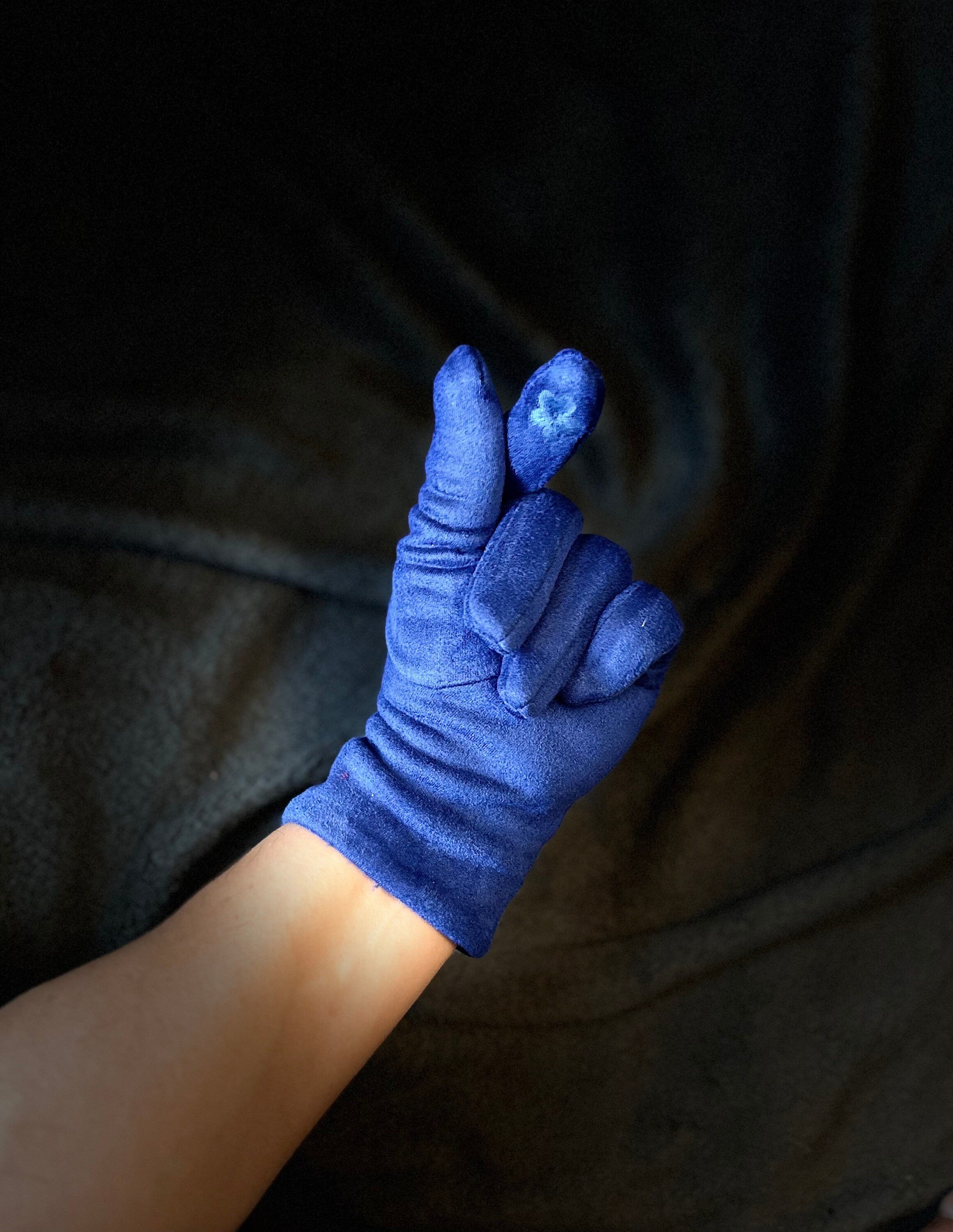 Blue Gloves with Embroidery Mulberry Tree for Women