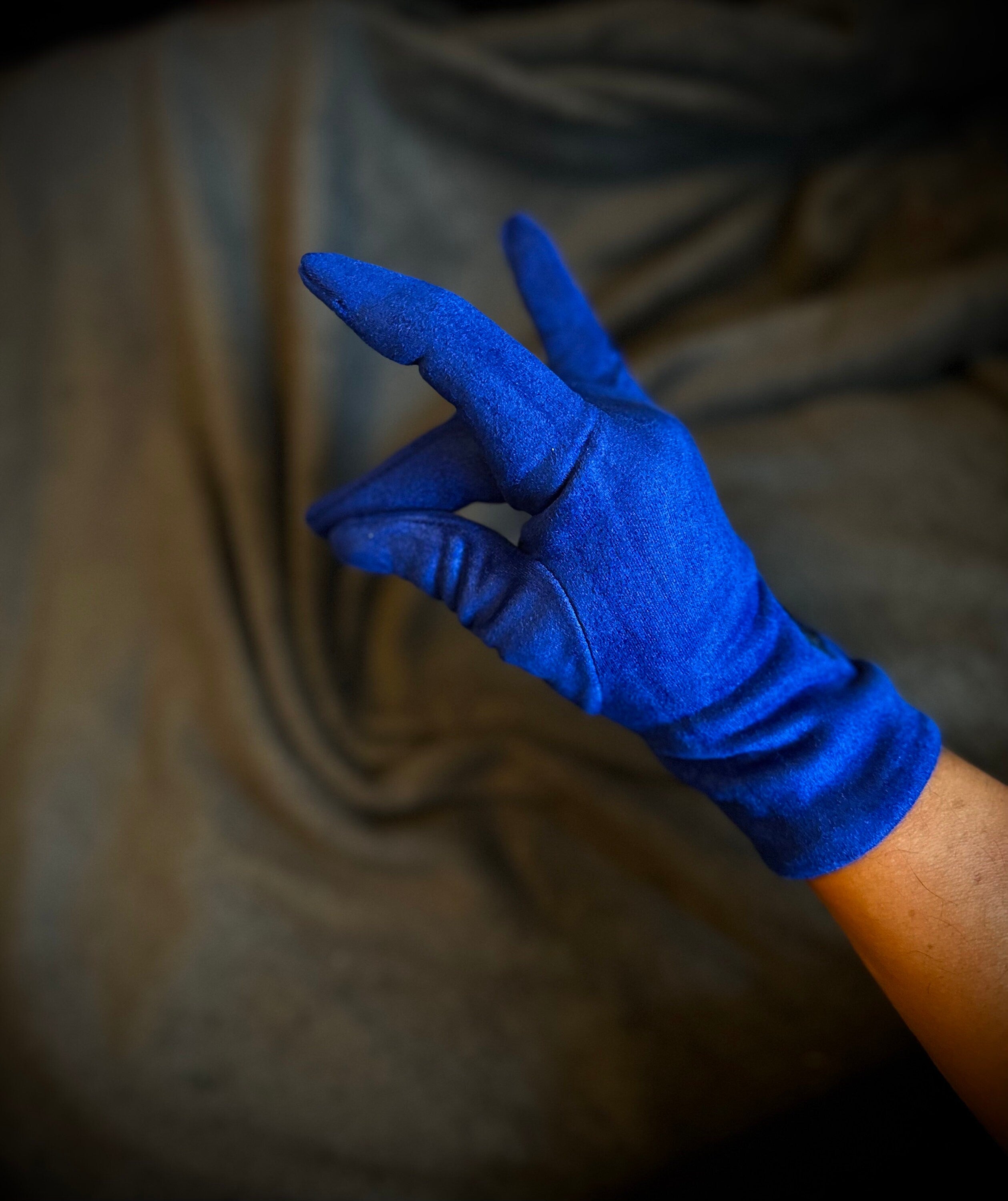 Blue Gloves with Embroidery Mulberry Tree for Women