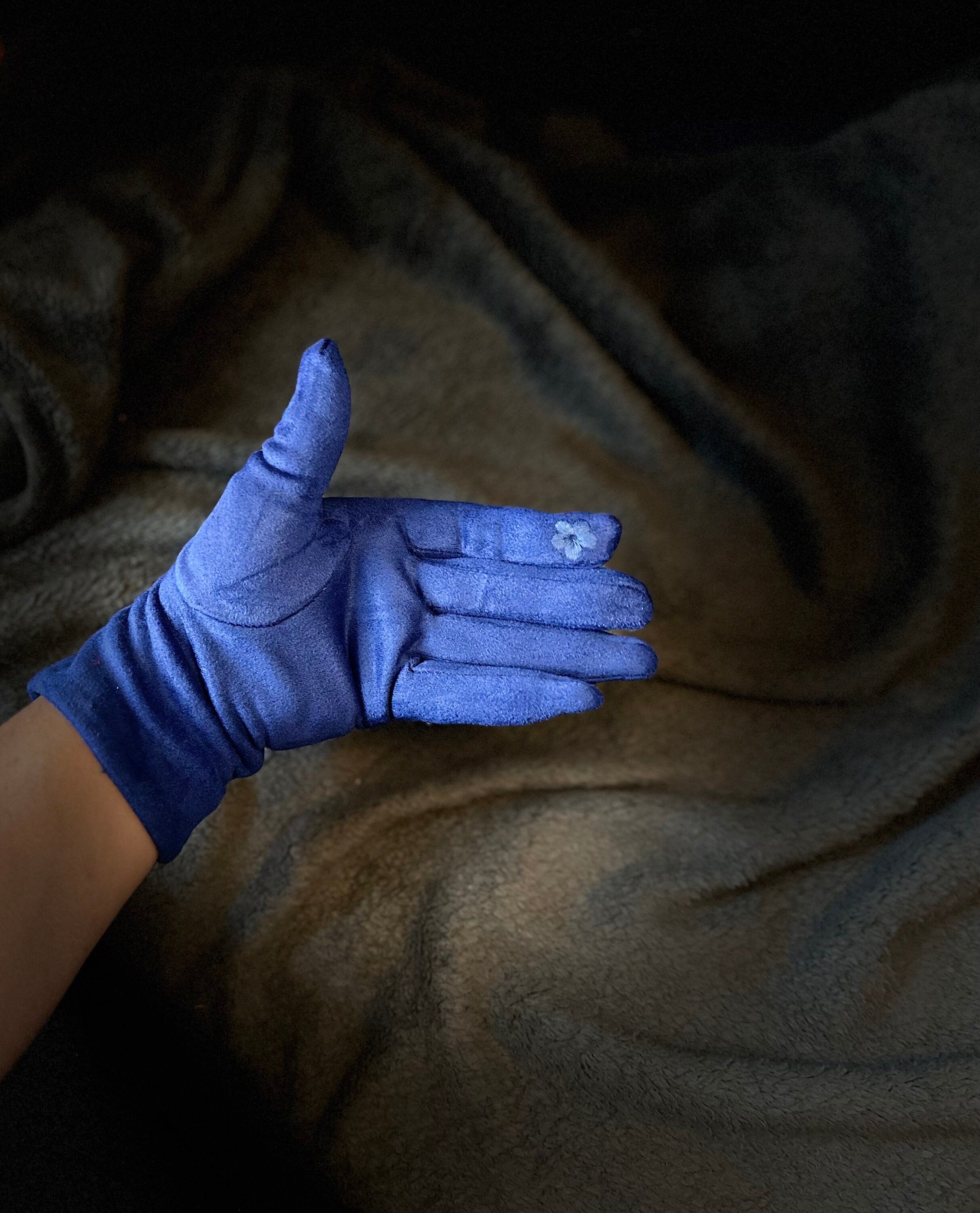 Blue Gloves with Embroidery Mulberry Tree for Women