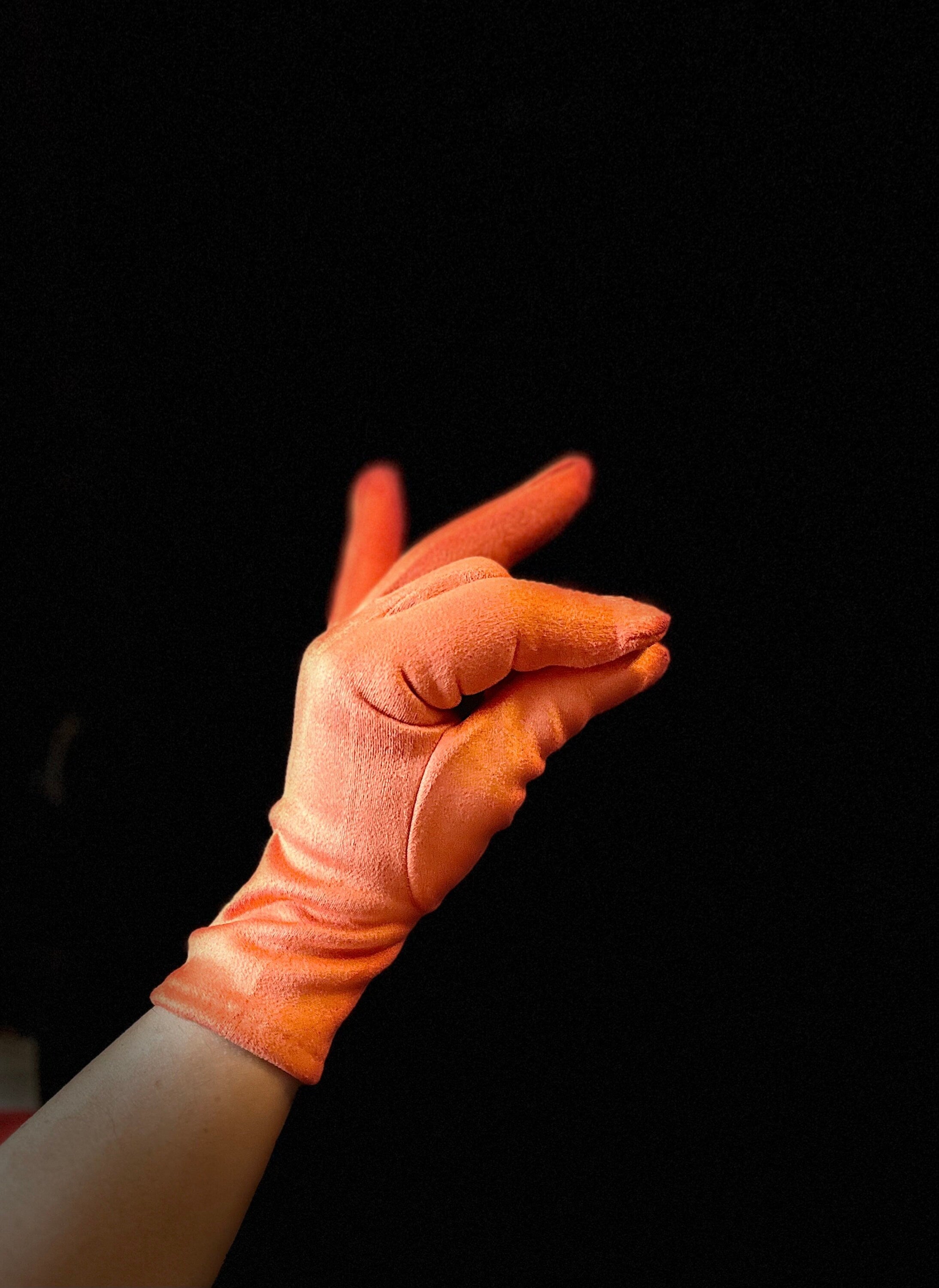 Orange Gloves with Embroidery Mulberry Tree for Women