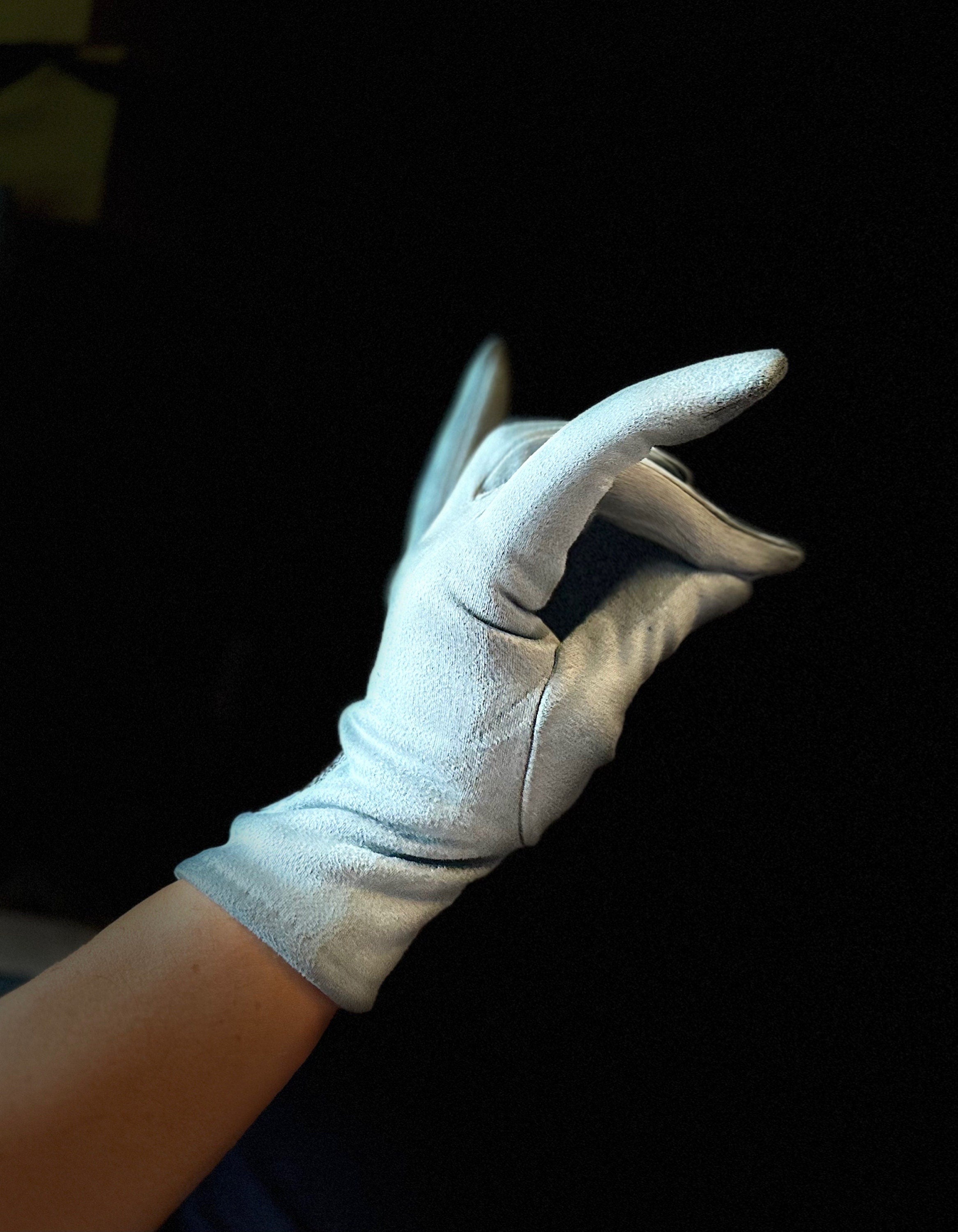 Light Blue Gloves with Embroidery Mulberry Tree