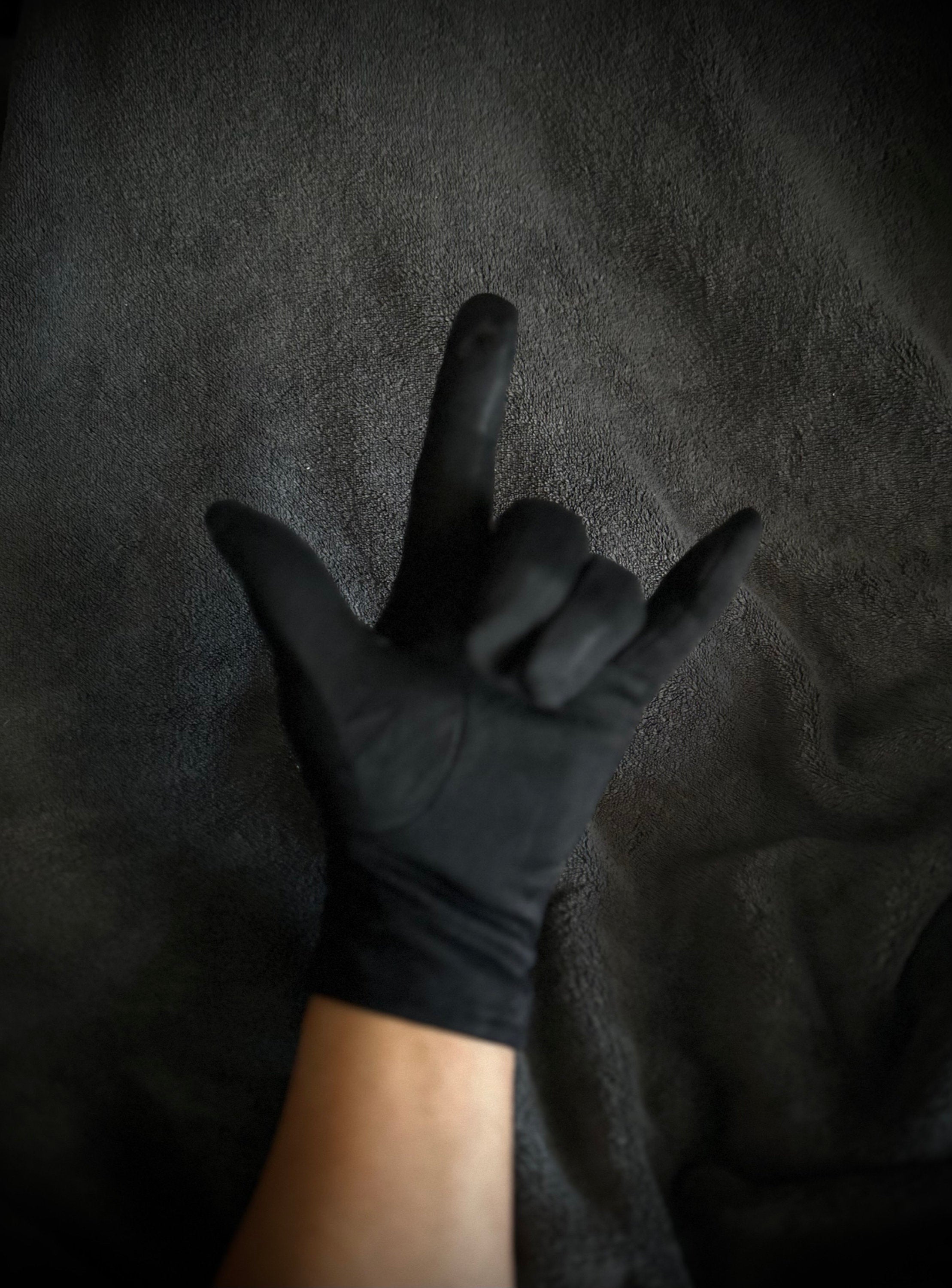 Embroidery Mulberry Tree Black Suede Gloves