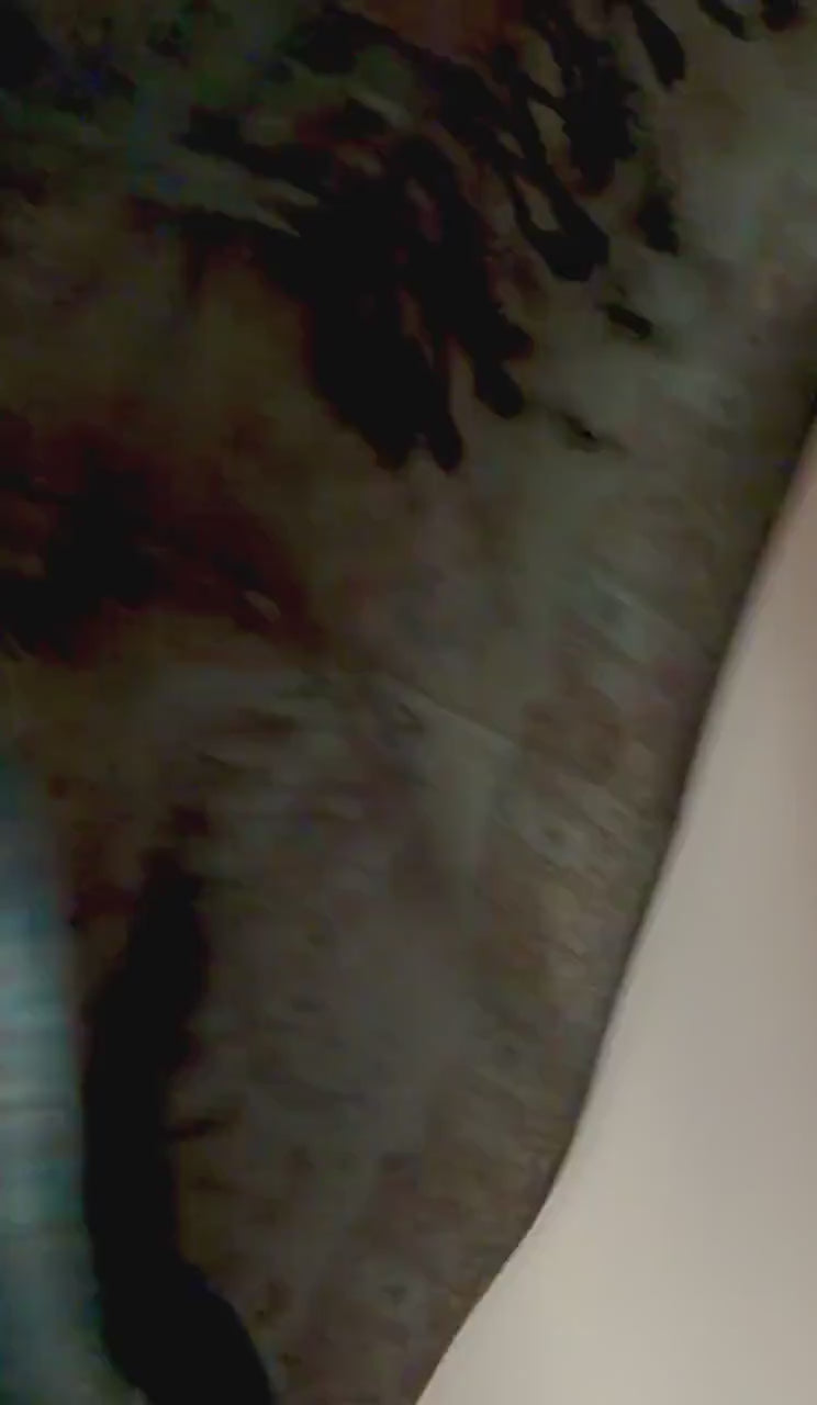Dark Teal Green and Black Paisley Autumn Winter Scarf, Floral Shawl with Beige Details, Cotton Viscose Blend Wrap for Women